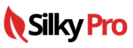 PLUME Logo